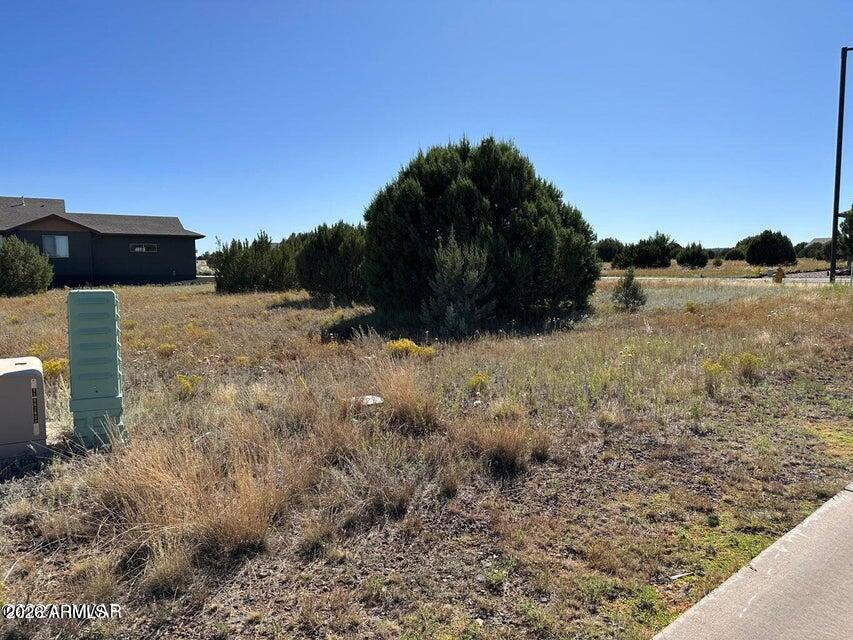 681 South Rock Ridge Drive, Unit 87 Show Low, AZ 85901 - Photo 2 of 4 20240214180842752783000000-o