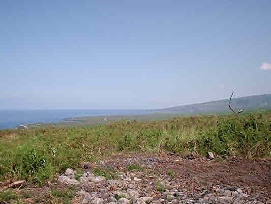 85-5337 Kiilae Road Captain Cook, HI 96704 - Photo 3 of 3 Gallery Image 3