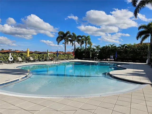 a view of a swimming pool and a lot of trees