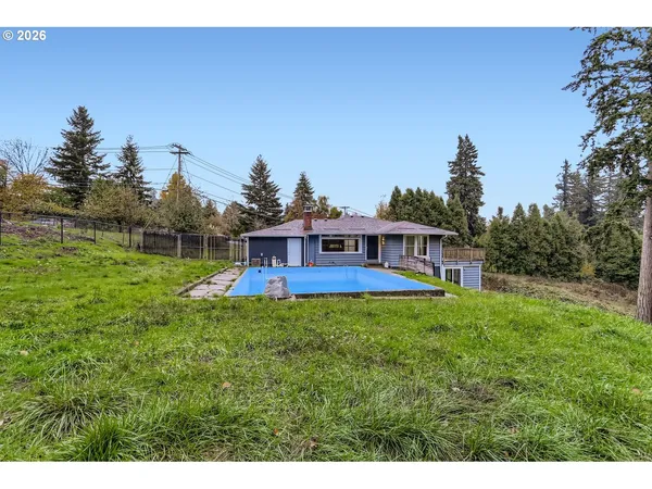 a backyard with tall trees