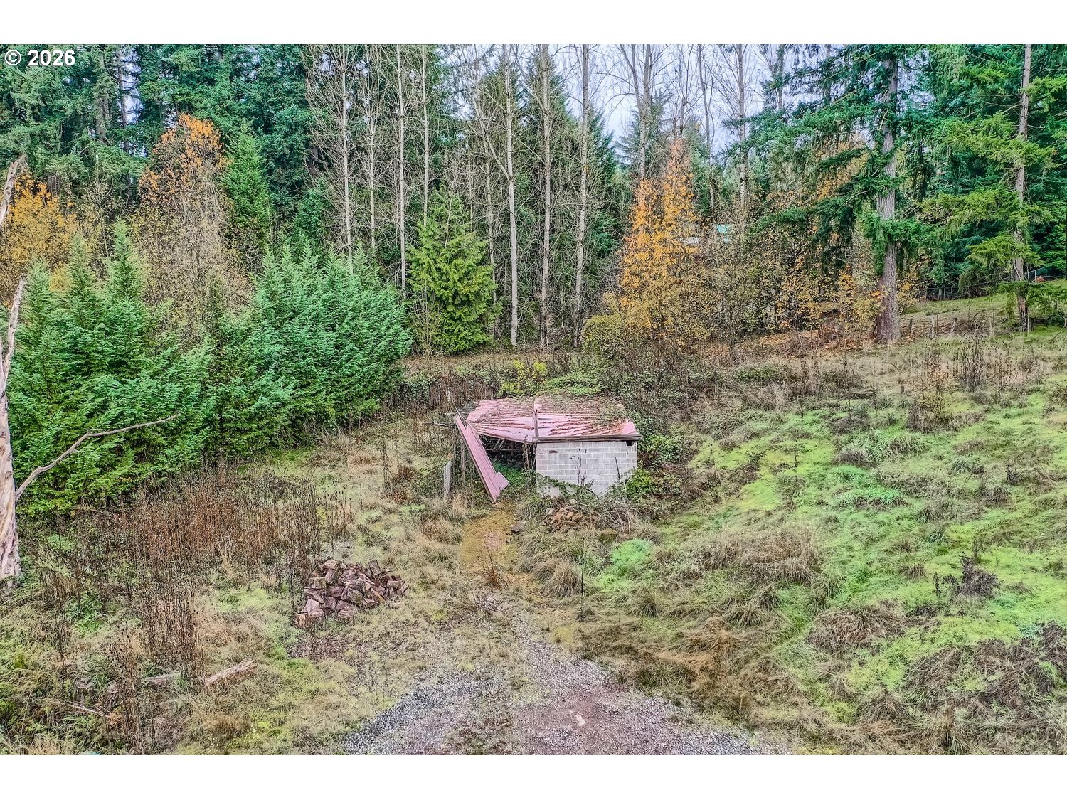 14661 Southeast Royer Road Damascus, OR 97089 - Photo 38 of 40 a backyard with tall trees