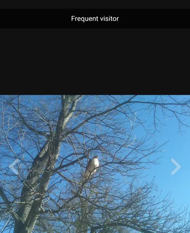 a view of swimming pool with a patio