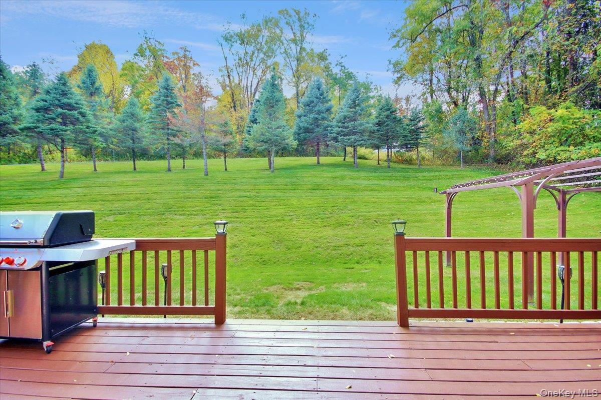 430 Eder Road Stormville, NY 12582 - Photo 17 of 50 a view of a house with a yard