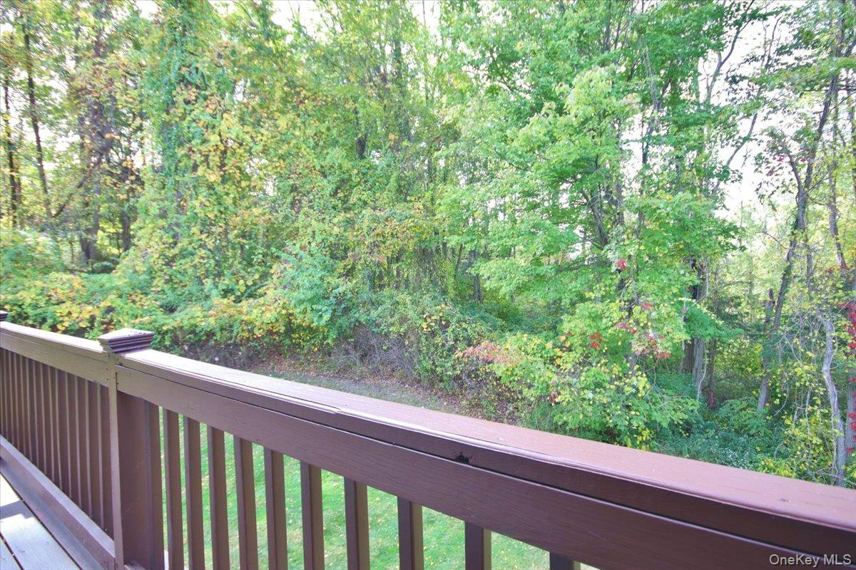 430 Eder Road Stormville, NY 12582 - Photo 29 of 50 a view of a forest from a window