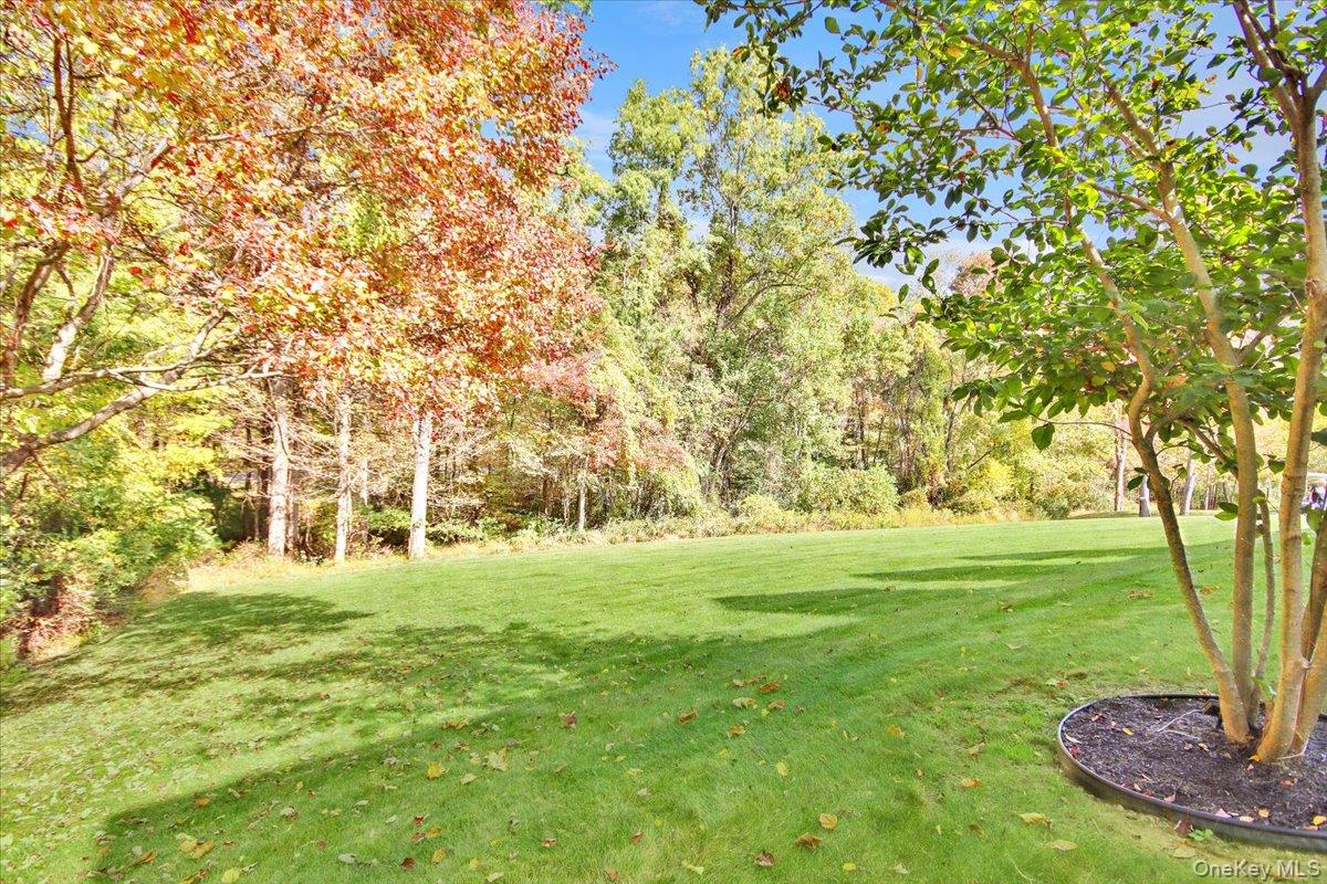 430 Eder Road Stormville, NY 12582 - Photo 45 of 50 a view of a trees with a big yard