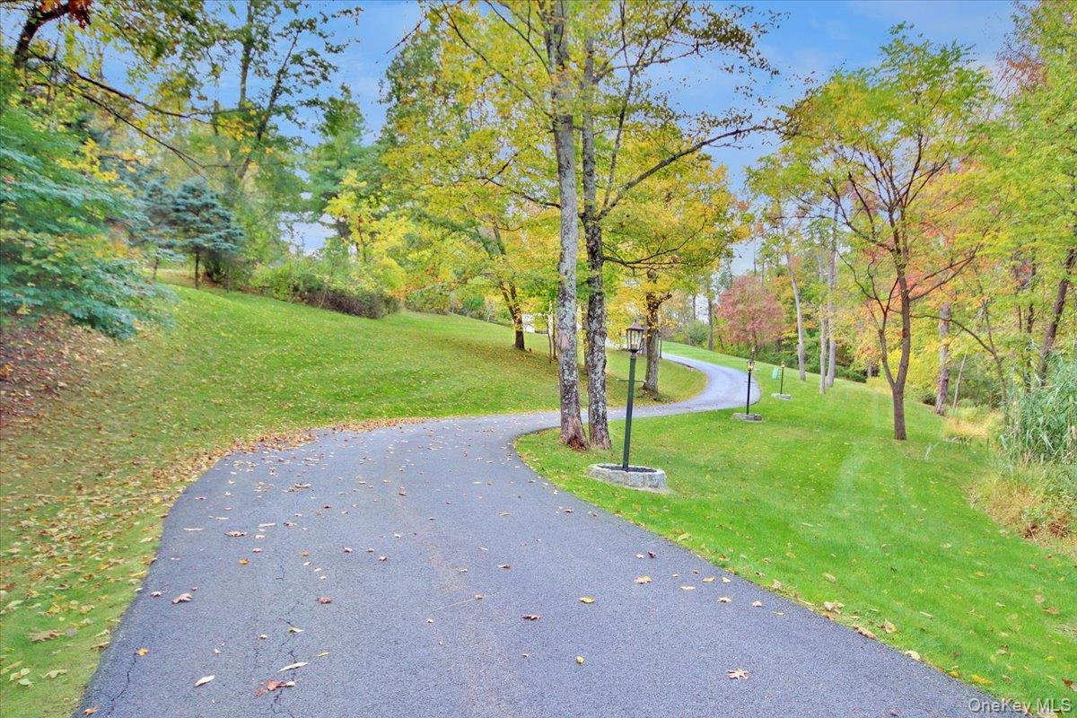 430 Eder Road Stormville, NY 12582 - Photo 49 of 50 a view of a park with a tree