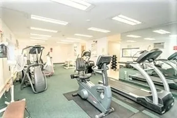 a garden with flowers and trees