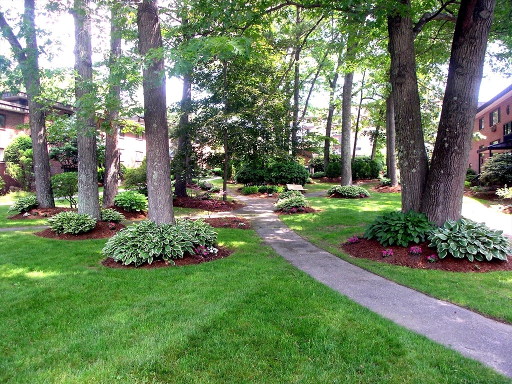 1325 Worcester Road, Unit C3 Framingham, MA 01701 - Photo 24 of 27 a garden with flowers and trees