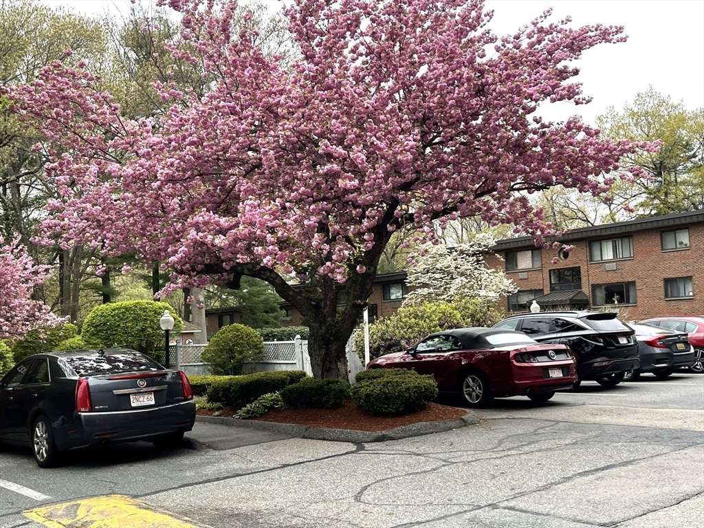 1325 Worcester Road, Unit C3 Framingham, MA 01701 - Photo 25 of 27 a view of street with parked cars