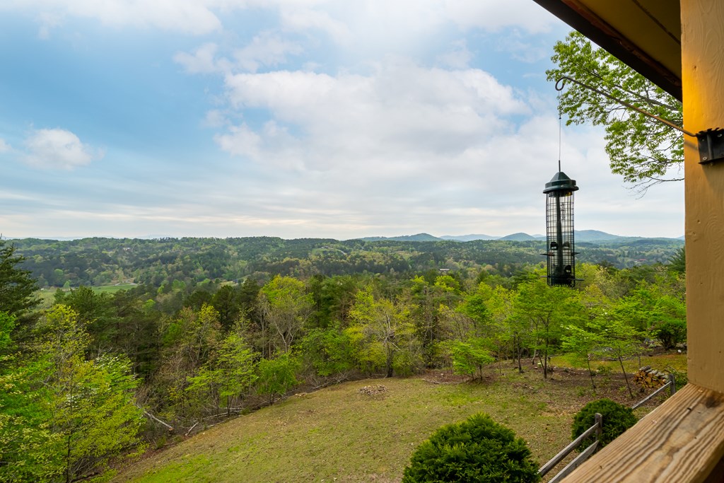 329 Katydid Road Morganton, GA 30560 - Photo 54 of 59 Gallery Image 54