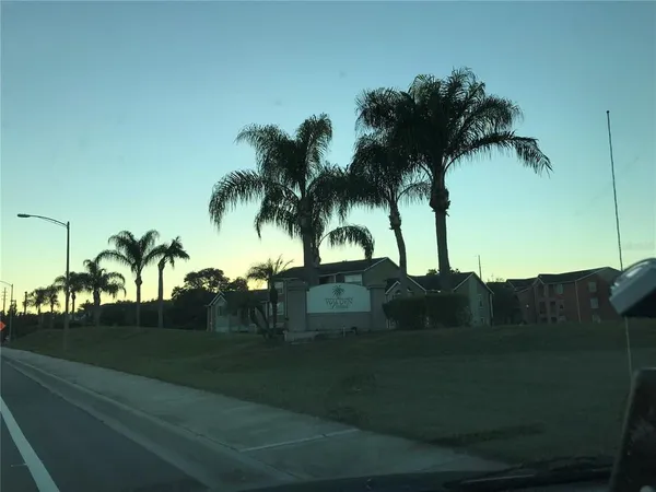 a view of a park with large trees