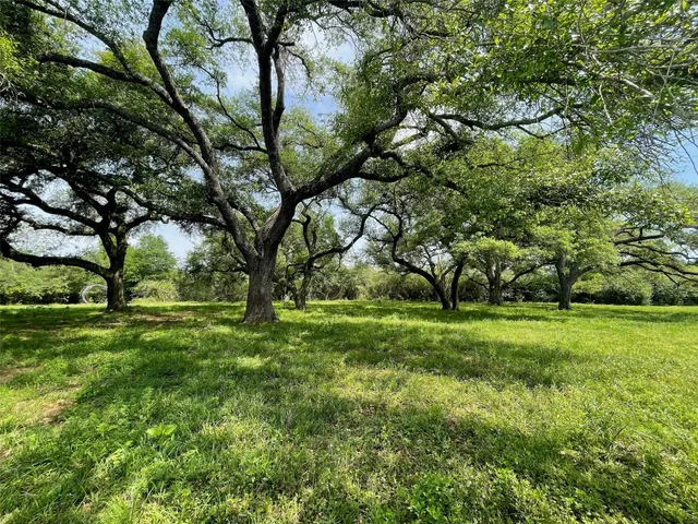 a view of backyard with green space