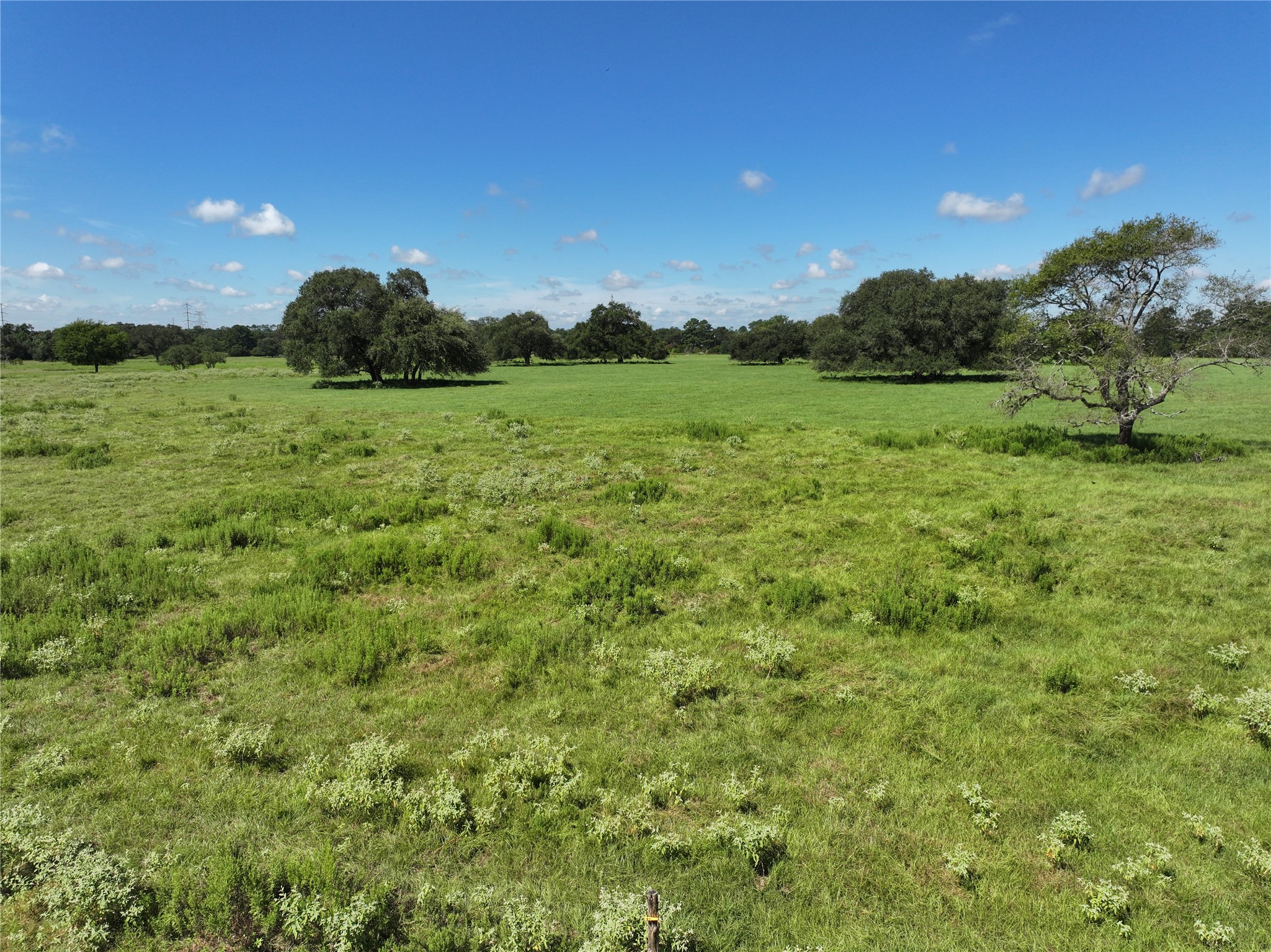 25689 Magnolia Road Hockley, TX 77447 - Photo 11 of 11
