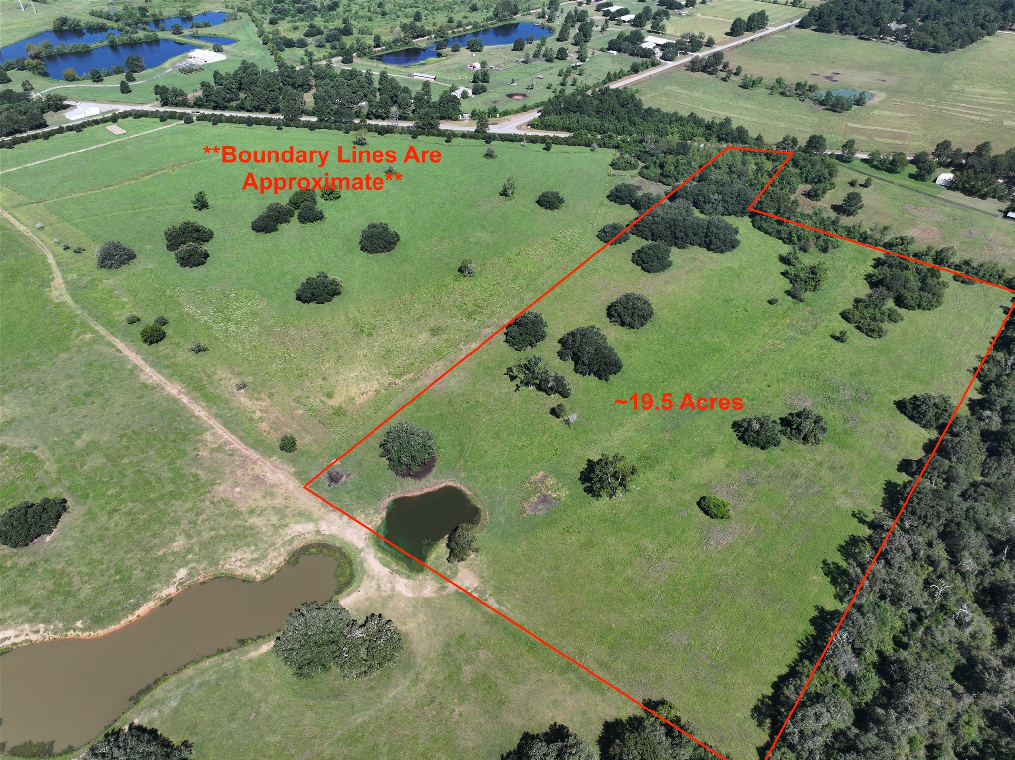 25689 Magnolia Road Hockley, TX 77447 - Photo 2 of 11