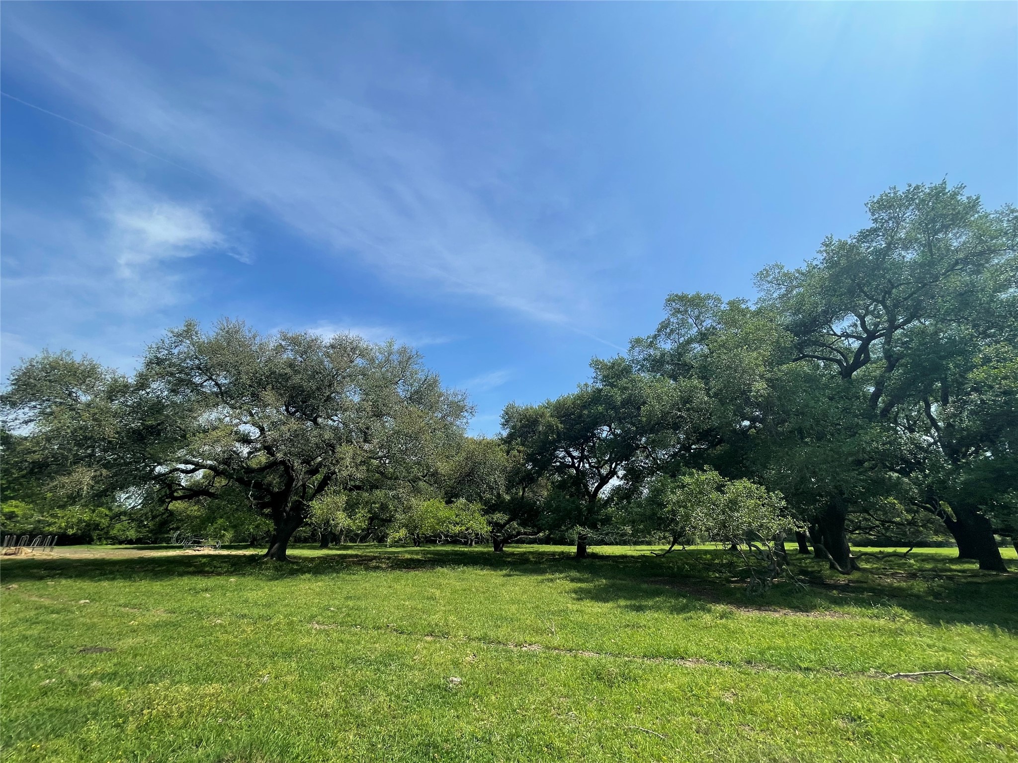 25689 Magnolia Road Hockley, TX 77447 - Photo 3 of 11