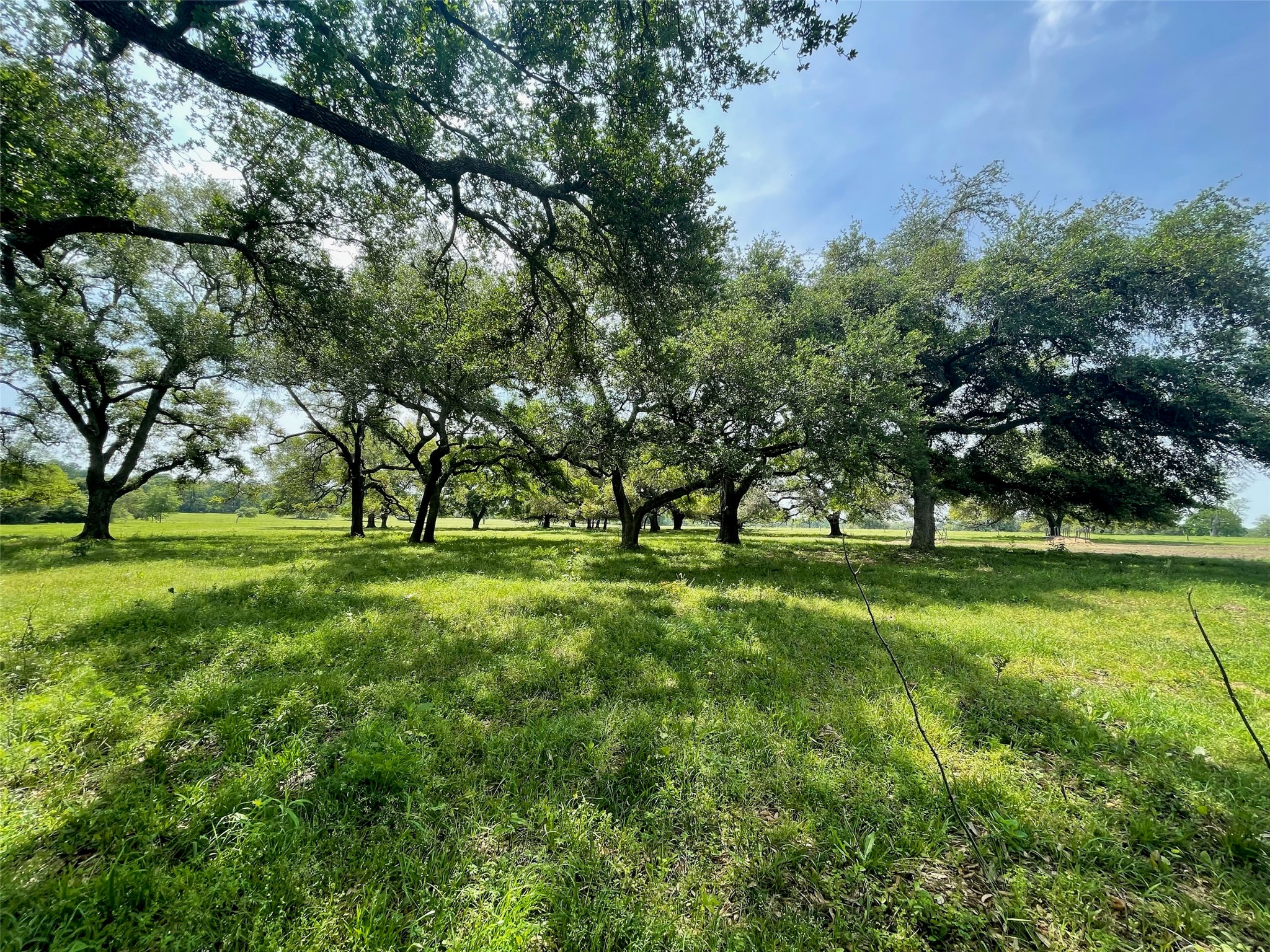 25689 Magnolia Road Hockley, TX 77447 - Photo 4 of 11