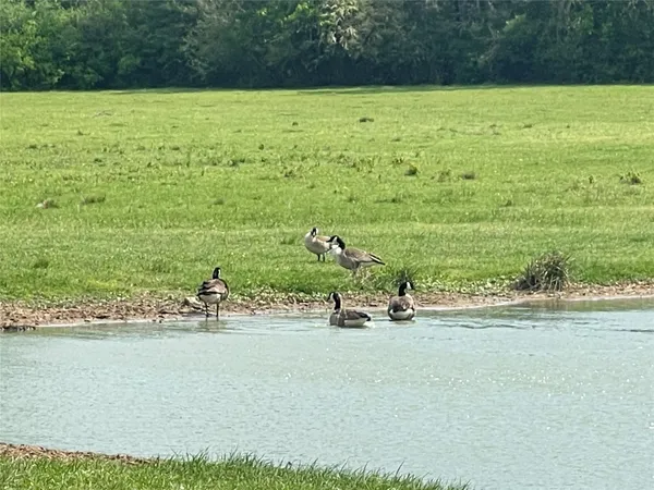 a view of a lake view