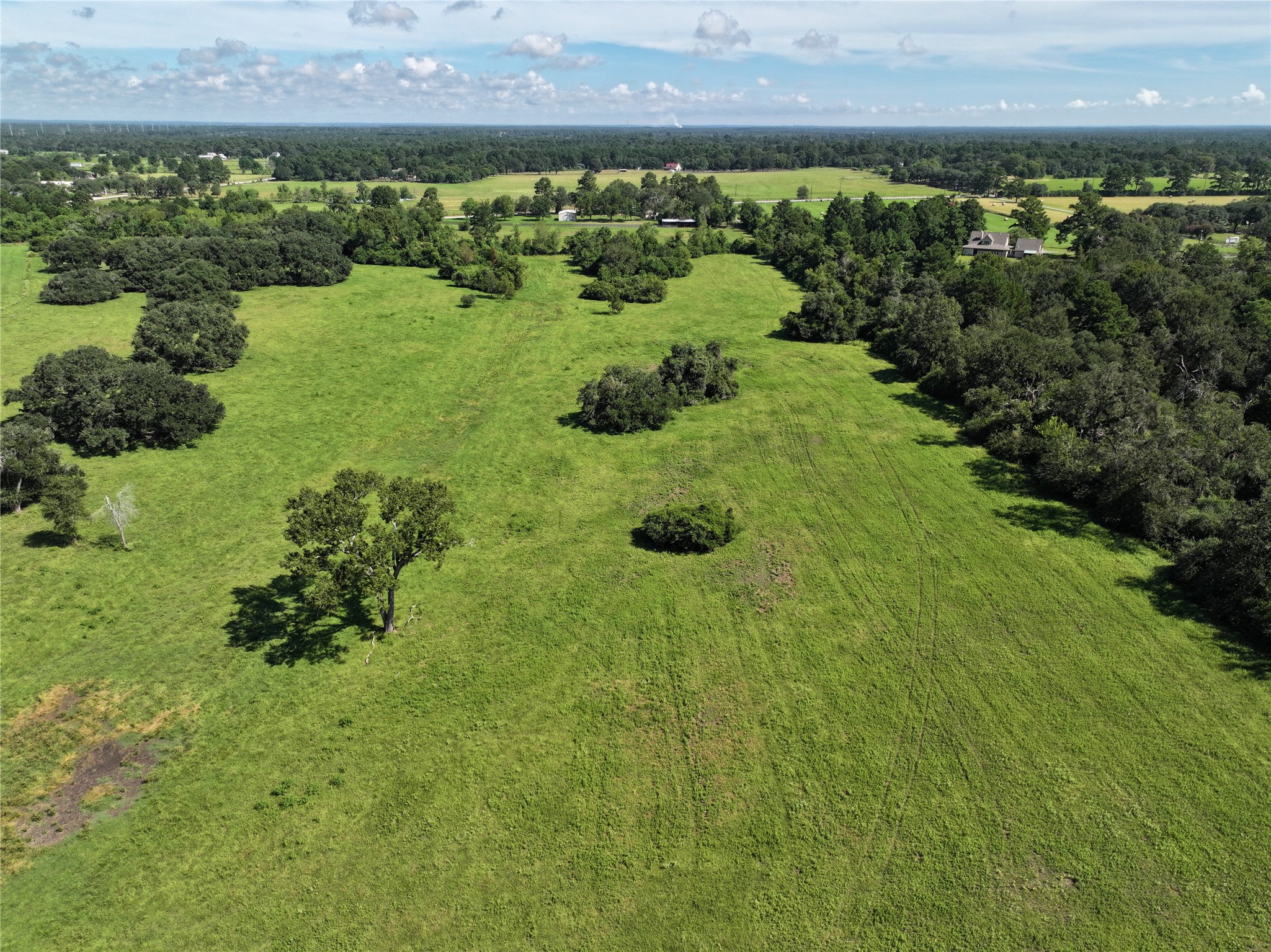 25689 Magnolia Road Hockley, TX 77447 - Photo 7 of 11