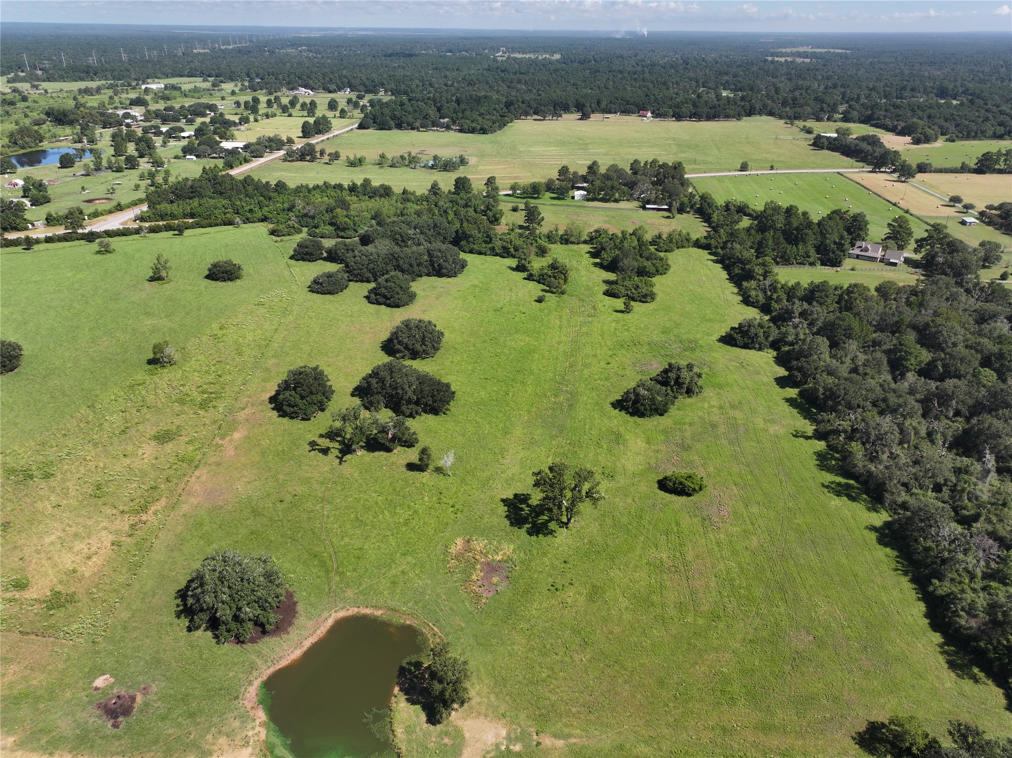 25689 Magnolia Road Hockley, TX 77447 - Photo 9 of 11