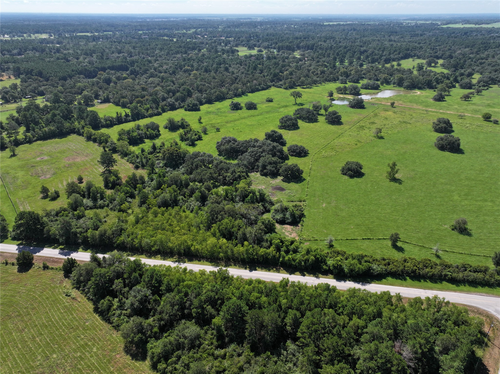25689 Magnolia Road Hockley, TX 77447 - Photo 10 of 11