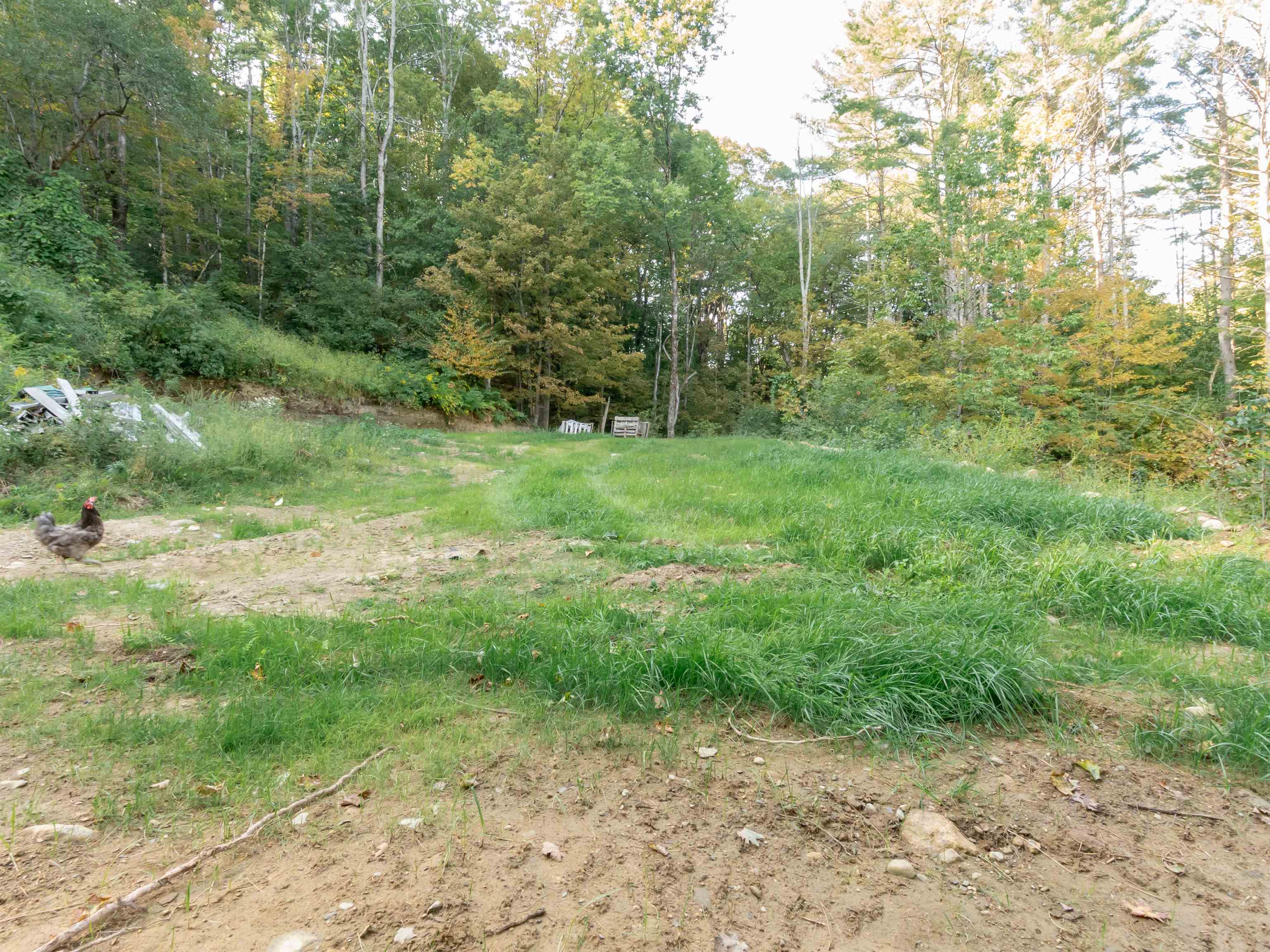 231 Chesterfield Road Hinsdale, NH 03451 - Photo 41 of 53