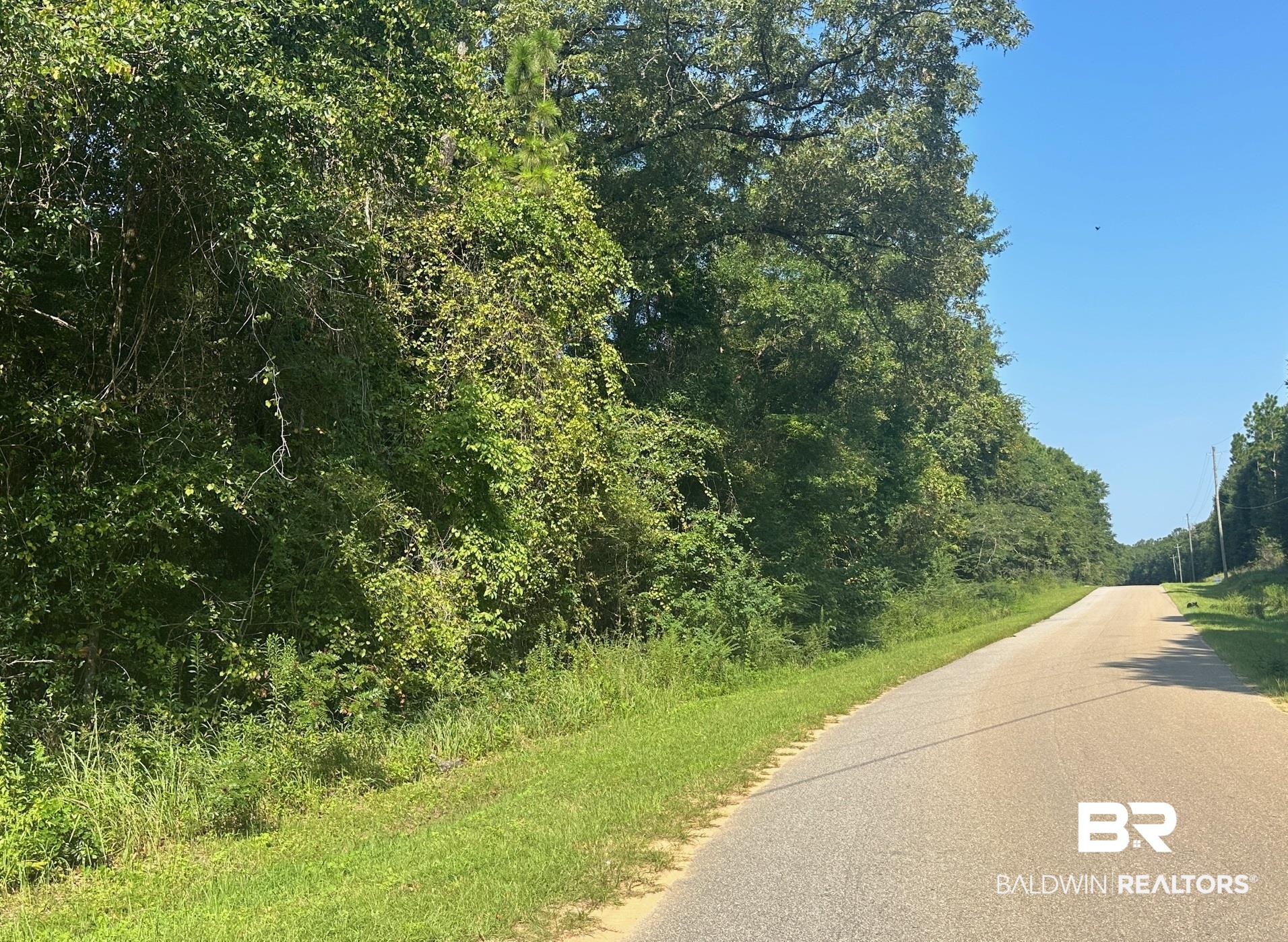 0 Danner Road East Wilmer, AL 36587 - Photo 3 of 13 View of asphalt street with a forest view