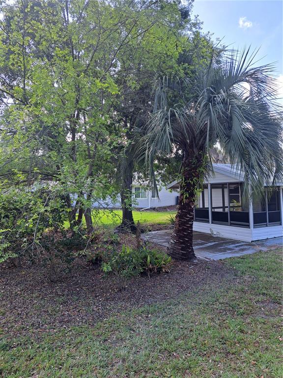 5618 Rosewall Circle Leesburg, FL 34748 - Photo 19 of 29 a view of outdoor space with trees all around