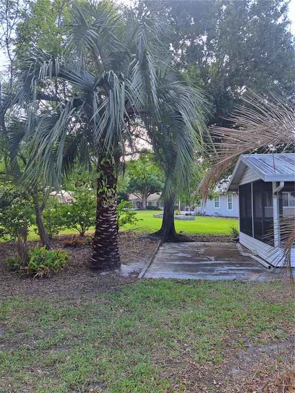 5618 Rosewall Circle Leesburg, FL 34748 - Photo 20 of 29 a view of outdoor space with deck and tree