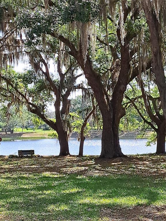 5618 Rosewall Circle Leesburg, FL 34748 - Photo 26 of 29 a view of a tree in the middle of a yard