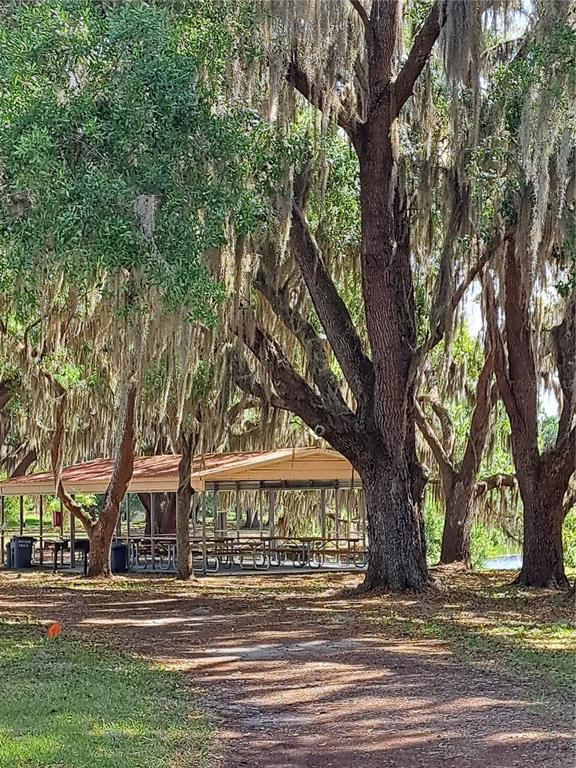 5618 Rosewall Circle Leesburg, FL 34748 - Photo 27 of 29 a view of a trees and a yard in front of a house