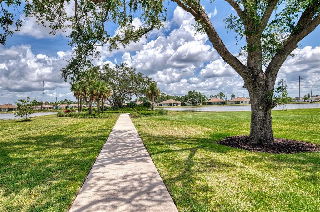 387 Ibiza Loop Venice, FL 34292 - Photo 49 of 60 a view of a garden with a tree