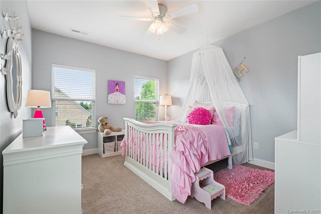 9044 Blue Ridge Drive Indian Land, SC 29707 - Photo 12 of 38