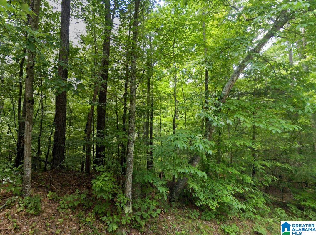 Highland Street Gadsden, AL 35905 - Photo 5 of 8
