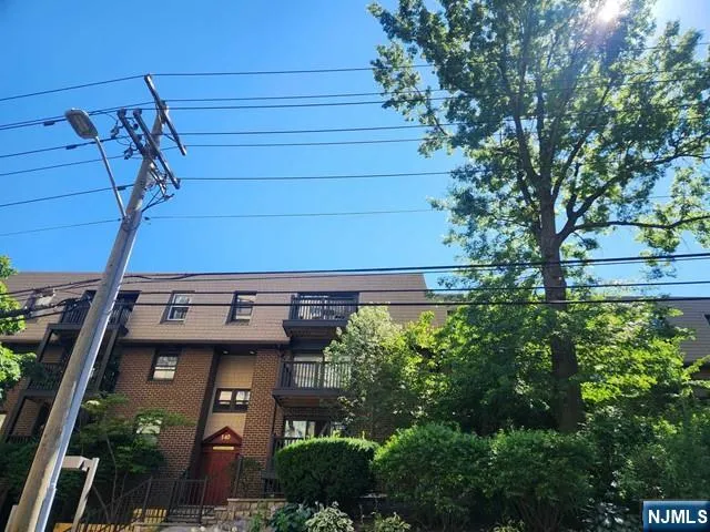 a view of a patio with plants