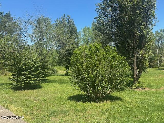 662 Blue Lane Huntingdon, TN 38344 - Photo 6 of 16 a view of a yard with plants and a bench