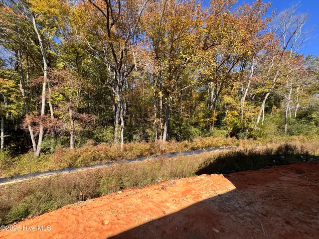 $400,204 | 151 Michter Street, Unit 41, Vass, NC 28394