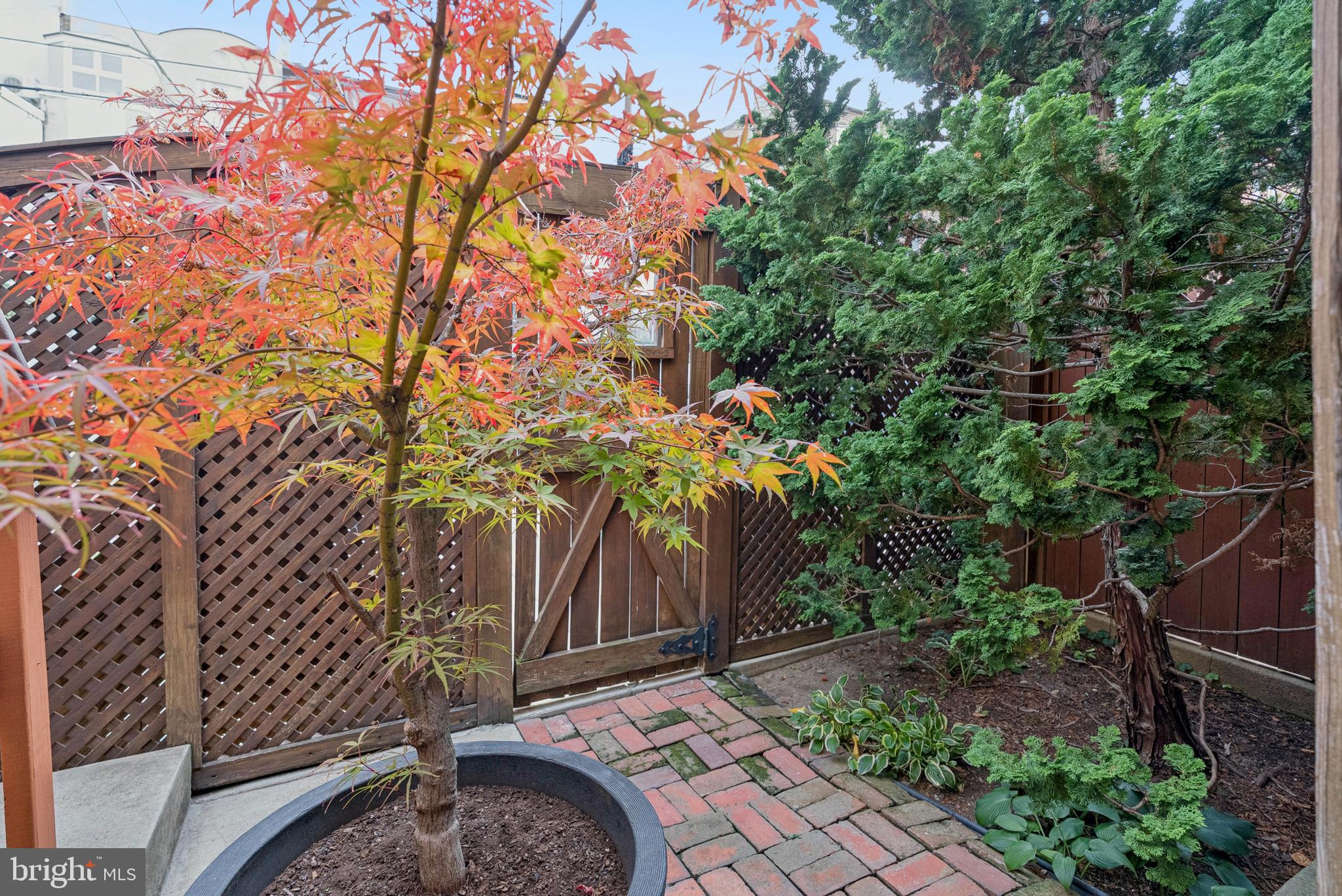 2012 R Street Northwest Washington, DC 20009 - Photo 29 of 31 a backyard of a house with lots of green space