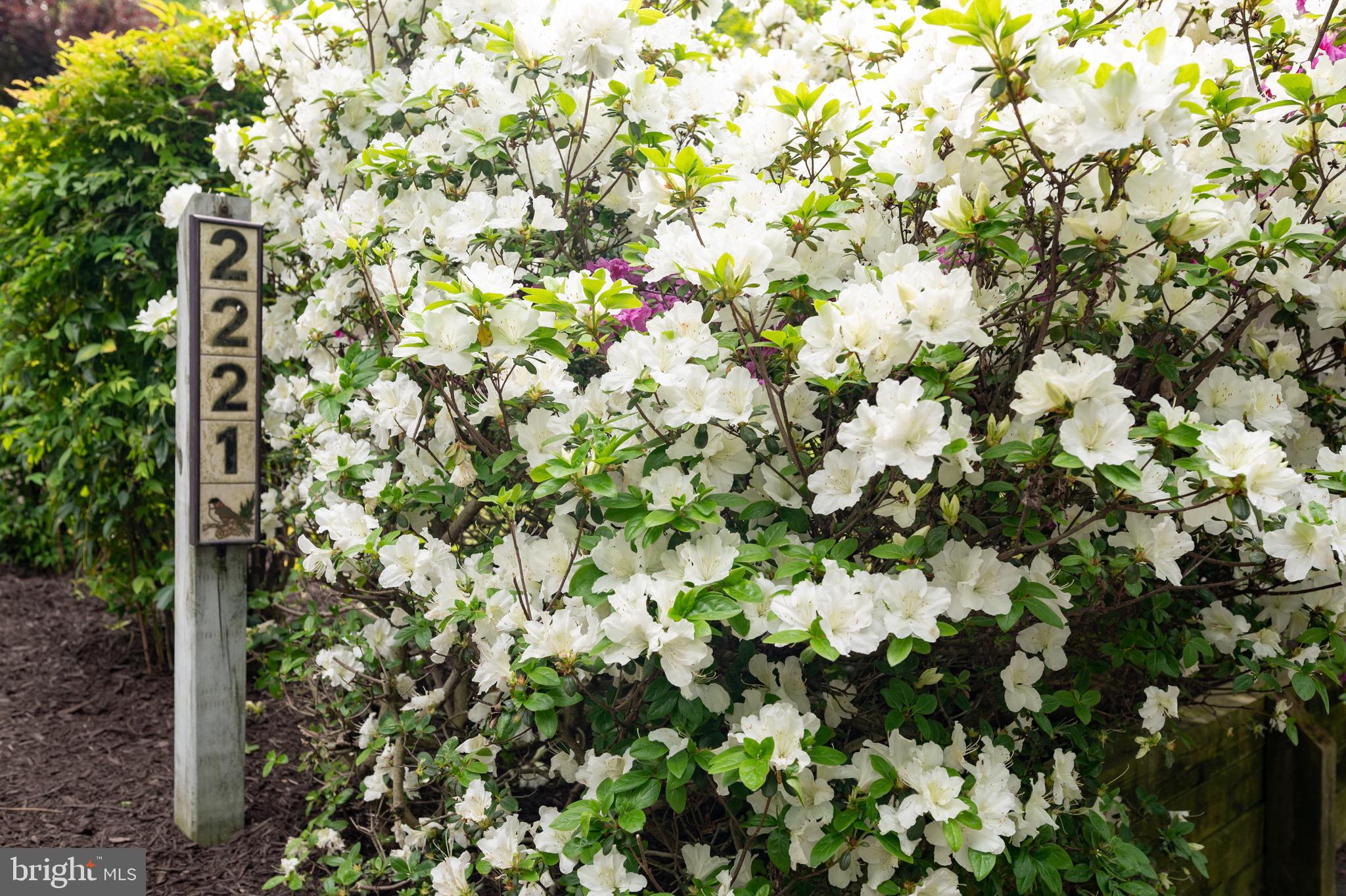 2221 Glasgow Road Alexandria, VA 22307 - Photo 47 of 76