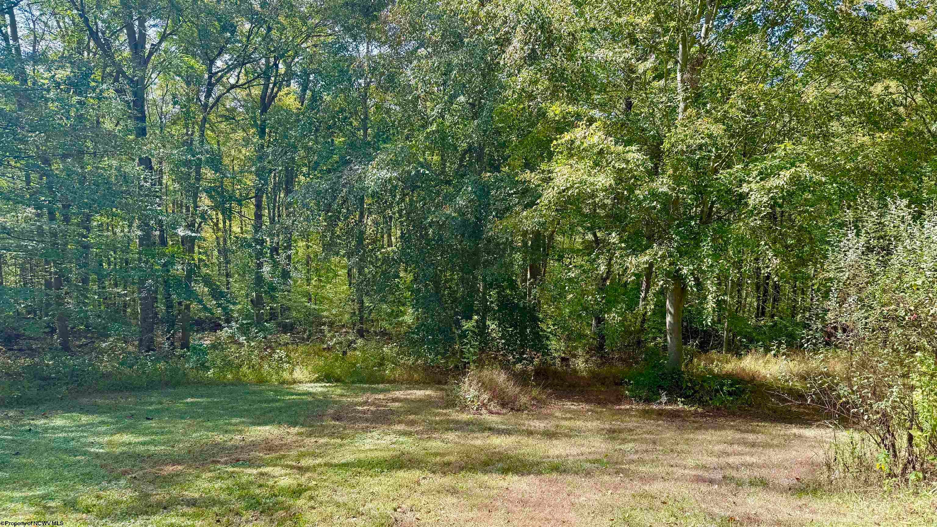 376 Bolyard Road Grafton, WV 26354 - Photo 42 of 48 Gallery Image 42