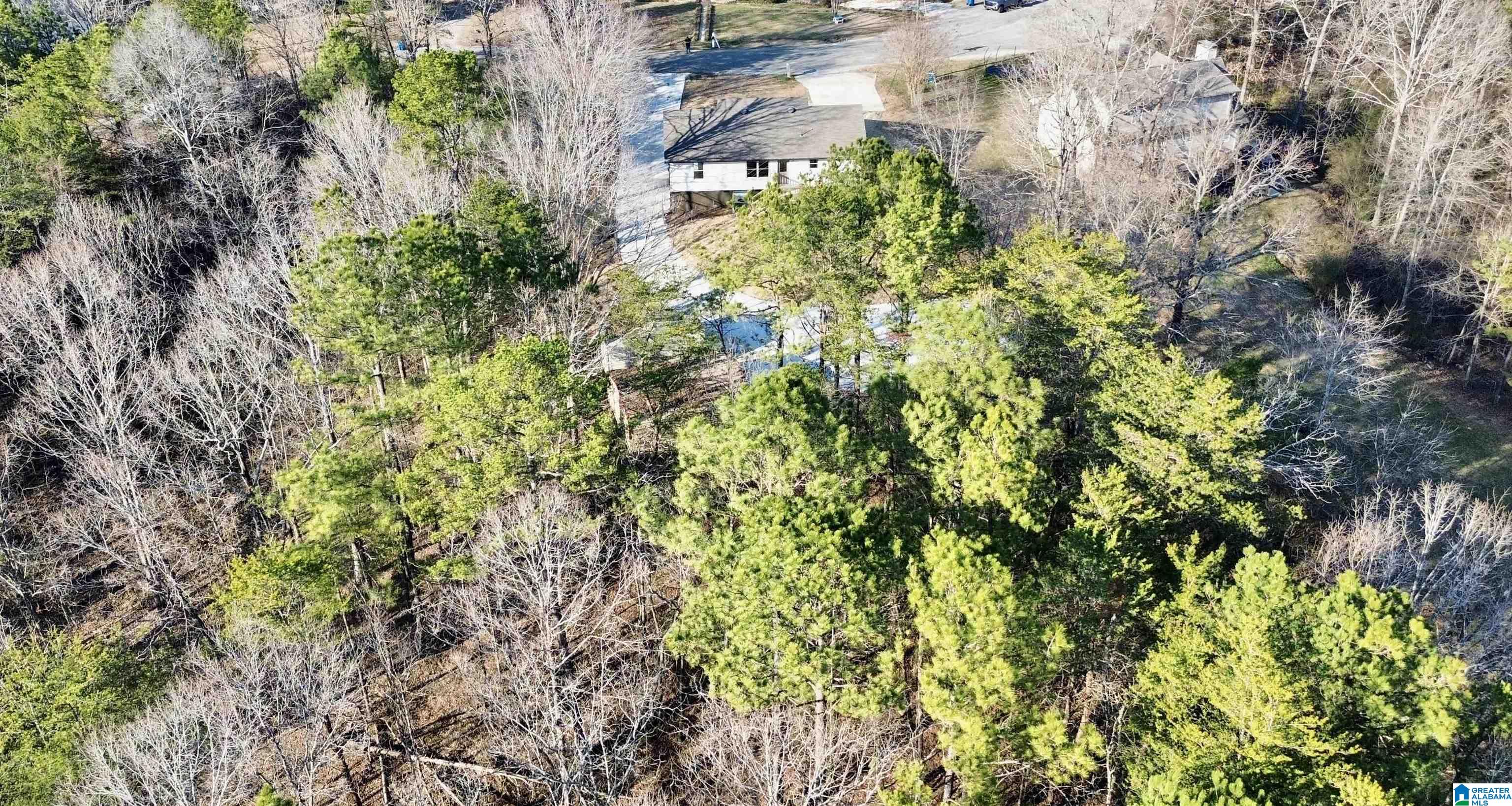 380 White Springs Road Warrior, AL 35180 - Photo 7 of 53