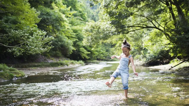 $509,900 | 245 Melody Road, Lockhart, TX 78644