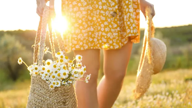 $509,900 | 245 Melody Road, Lockhart, TX 78644