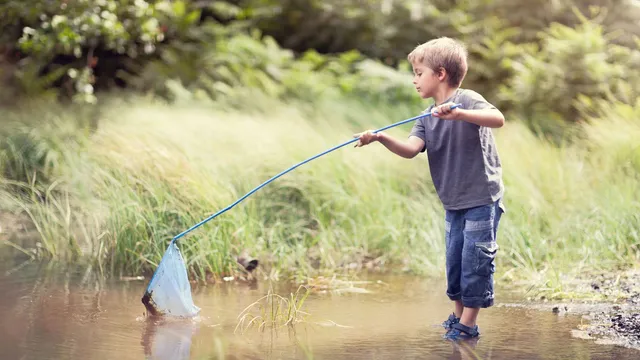 a view of a swimming pool with a backyard