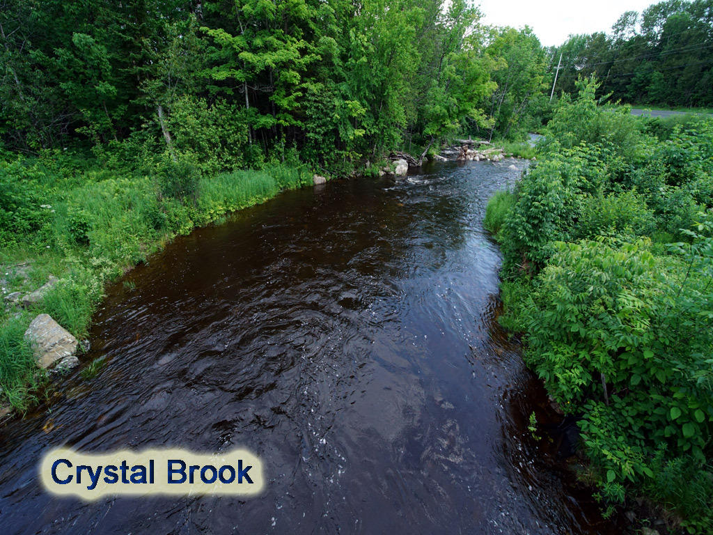 401 Crystal Road Crystal, ME 04747 - Photo 40 of 43 crystal-brook-brewer-1