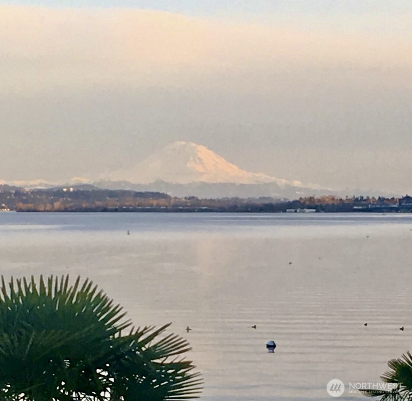 14026 Riviera Place Northeast Seattle, WA 98125 - Photo 40 of 40