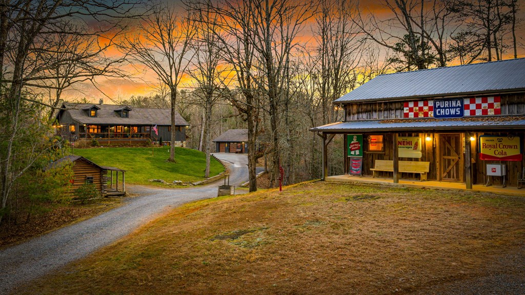 178 Arp Road Mineral Bluff, GA 30559 - Photo 3 of 74