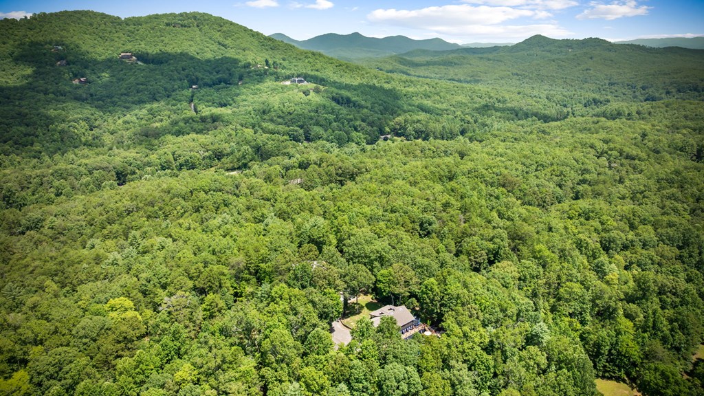 178 Arp Road Mineral Bluff, GA 30559 - Photo 60 of 74