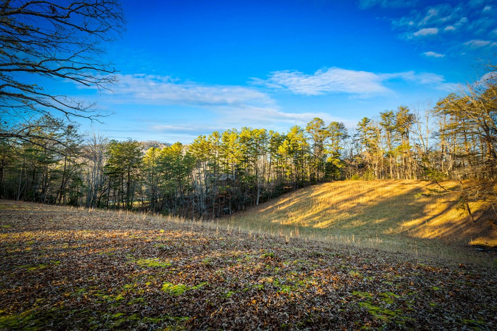 178 Arp Road Mineral Bluff, GA 30559 - Photo 63 of 74
