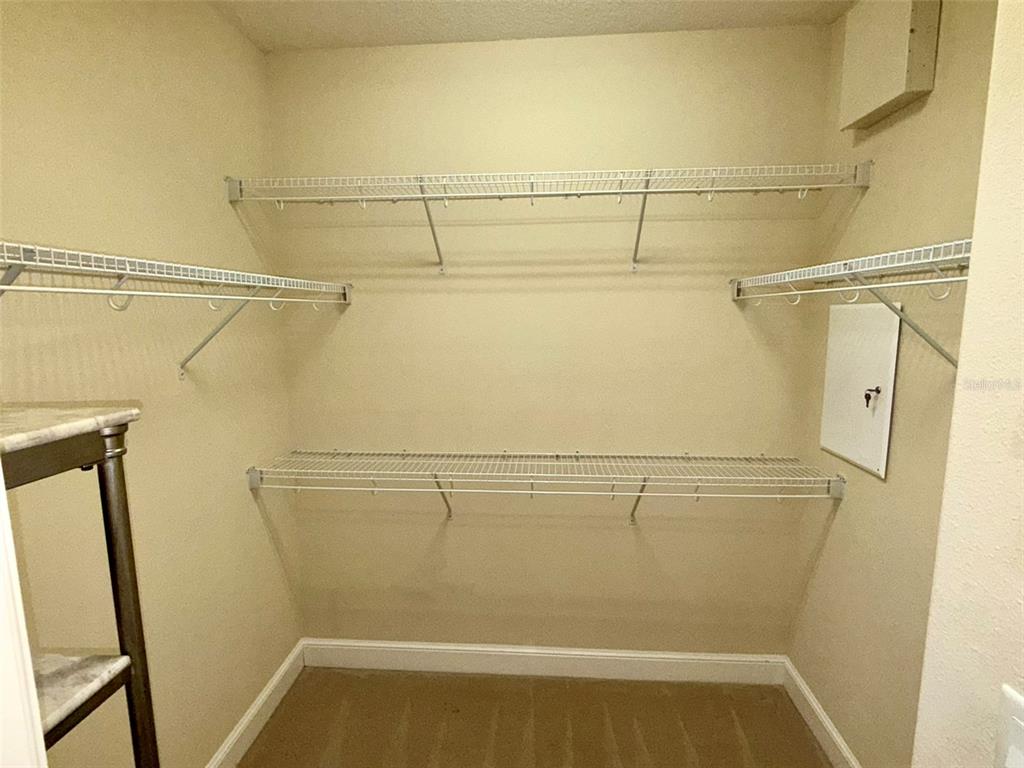 10631 Village Lake Road Windermere, FL 34786 - Photo 21 of 38 Primary 2 upstairs closet