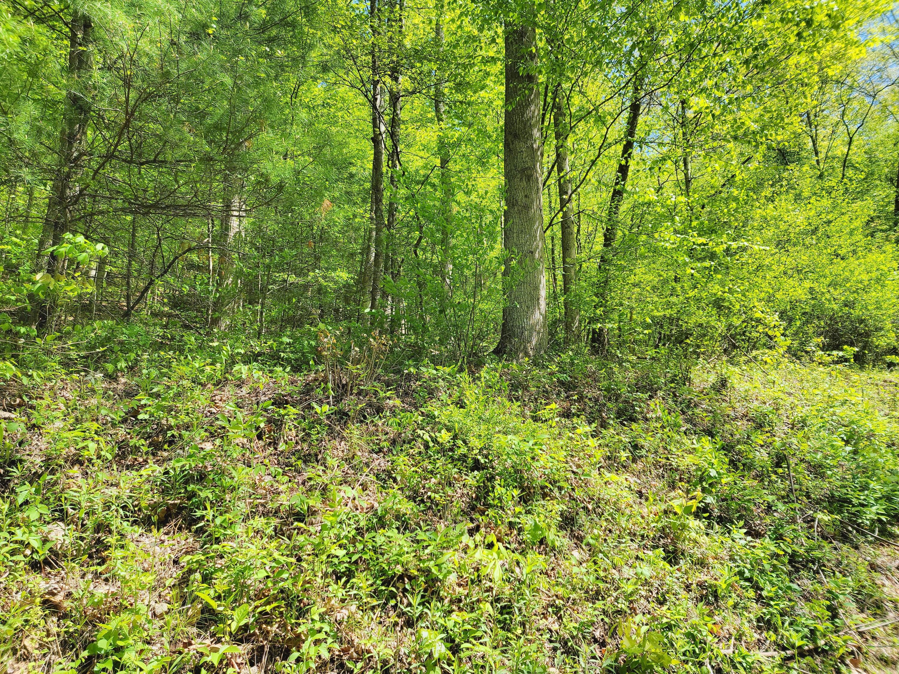 IMG_20220509_113002_HDR